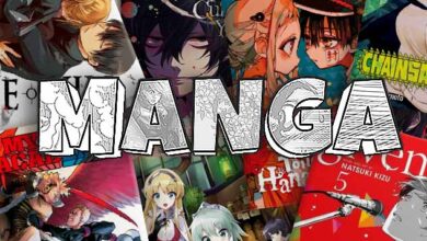 Mangaowl Review